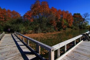 Fishing deck at Potato Creek in North Liberty, Indiana