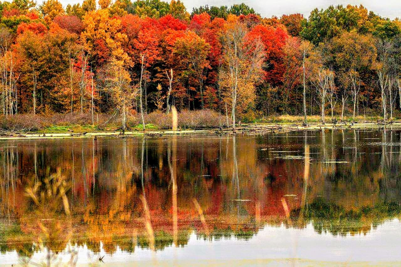 Autumn Colors at Potato Creek, New Liberty, Indiana